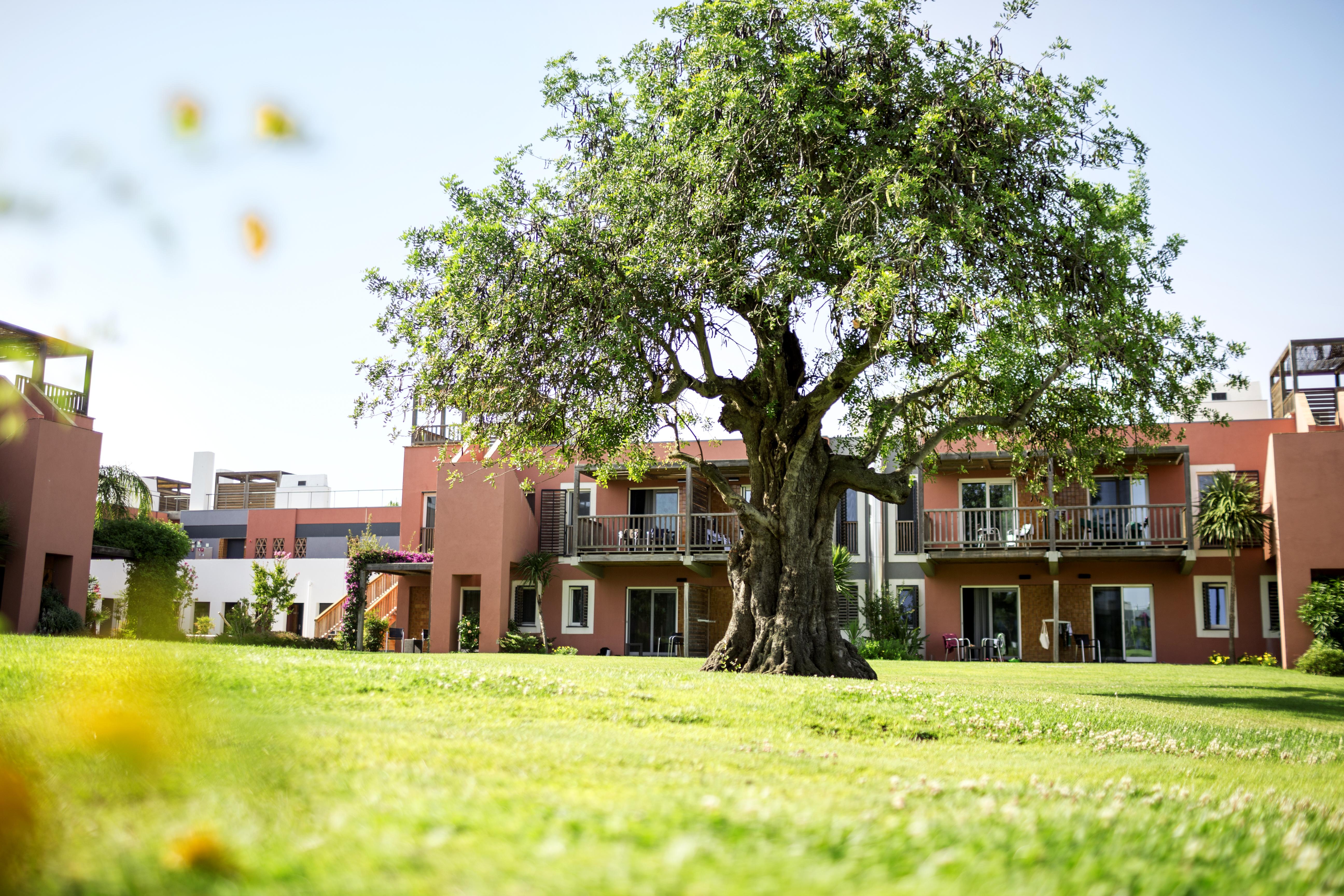 فندق Robinson Quinta Da Ria فيلا نوفا دي كاسيلا المظهر الخارجي الصورة